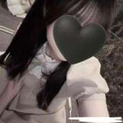 ミミ ありがとうございました Wonder7 (ワンダー7)