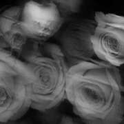 ヒメ日記 2026/03/21 17:30 投稿 れいか 西川口マーメイド