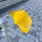 ヒメ日記 2025/11/30 14:22 投稿 すみれ 君とふわふわプリンセスin立川