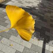 ヒメ日記 2025/12/04 13:22 投稿 すみれ 君とふわふわプリンセスin立川