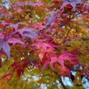 ヒメ日記 2025/12/04 19:42 投稿 すみれ 君とふわふわプリンセスin立川