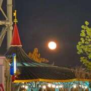 ヒメ日記 2025/12/06 19:02 投稿 すみれ 君とふわふわプリンセスin立川