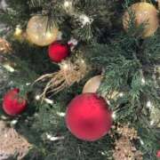 すみれ 🩵ありがとうとごめんなさい… 君とふわふわプリンセスin立川