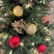 ヒメ日記 2025/12/24 19:42 投稿 すみれ 君とふわふわプリンセスin立川