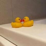 ヒメ日記 2025/12/26 07:02 投稿 すみれ 君とふわふわプリンセスin立川