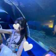 ヒメ日記 2026/02/24 15:12 投稿 ルル ソープランド マックス