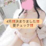 ヒメ日記 2026/04/01 14:46 投稿 ルル ソープランド マックス