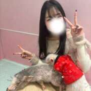 ヒメ日記 2026/07/15 22:16 投稿 ルル ソープランド マックス