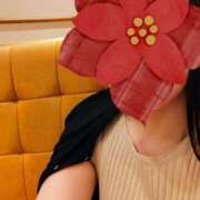 ヒメ日記 2025/11/19 08:05 投稿 水嶋かのん セカンドパートナー池袋