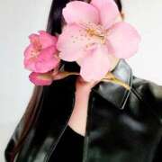 ヒメ日記 2026/03/28 09:19 投稿 水嶋かのん セカンドパートナー池袋