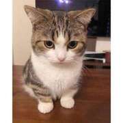 ヒメ日記 2025/11/18 00:44 投稿 みな♡癒し系Fカップ美少女♡ 即生専門店ゴッドパイ