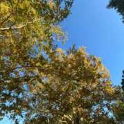 ヒメ日記 2025/11/20 02:51 投稿 のの 秋葉原コスプレ学園(AKG)