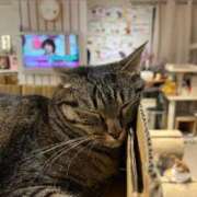 ヒメ日記 2025/11/24 09:02 投稿 のの 秋葉原コスプレ学園(AKG)