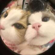 のの | ε:) ﾆｮ♡ 秋葉原コスプレ学園(AKG)