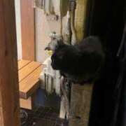 ヒメ日記 2025/11/21 19:24 投稿 藤宮 ありさ 京都ホットポイント