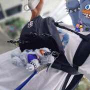 ヒメ日記 2026/09/14 00:25 投稿 ちさと 池袋人妻城