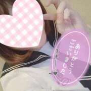 ヒメ日記 2025/11/26 16:57 投稿 さつき 激安ドットコム