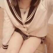 ヒメ日記 2025/12/01 08:25 投稿 さつき 激安ドットコム