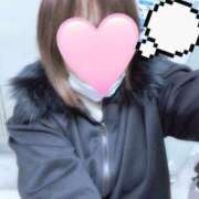 ヒメ日記 2025/12/29 10:12 投稿 さつき 激安ドットコム