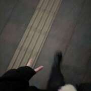 ヒメ日記 2026/01/09 06:16 投稿 さつき 激安ドットコム