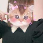 さつき おはよー！！ 激安ドットコム