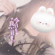 ヒメ日記 2025/11/12 21:49 投稿 ゆめか サマンサ 堺店