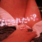 ヒメ日記 2025/11/12 12:44 投稿 とわ ミセスサマンサ