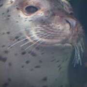 ヒメ日記 2026/01/23 20:16 投稿 タオ LOVE(小名浜)