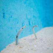 ヒメ日記 2026/02/13 18:48 投稿 あゆ Ange(長崎)