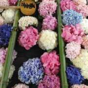 ヒメ日記 2025/11/21 16:31 投稿 らら 完熟ばなな 谷九店