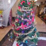 ヒメ日記 2025/11/24 18:59 投稿 らら 完熟ばなな 谷九店