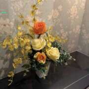 ヒメ日記 2025/11/22 22:14 投稿 卯月 えり こあくまな熟女たち 京都店(KOAKUMAグループ)