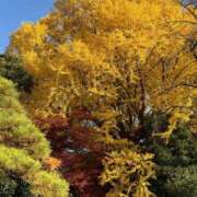 ヒメ日記 2025/12/01 08:16 投稿 ユキ マテリアル