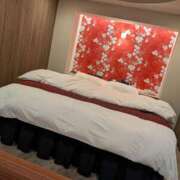 諸星　せいら 2日目🤍 ギン妻パラダイス 谷九店