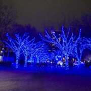 ヒメ日記 2025/12/16 18:48 投稿 紗音(すずね) 人妻城 横浜本店