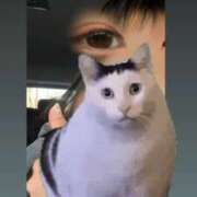 ヒメ日記 2025/11/12 19:54 投稿 るみ マリン宮殿水戸店