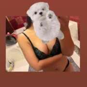 ヒメ日記 2025/11/22 11:14 投稿 るみ マリン宮殿水戸店