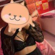 ヒメ日記 2025/11/27 07:46 投稿 るみ マリン宮殿水戸店