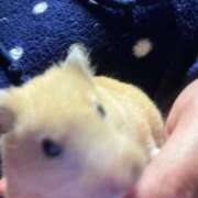 ヒメ日記 2025/11/30 23:04 投稿 るみ マリン宮殿水戸店