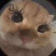 ヒメ日記 2025/11/18 16:45 投稿 まろん 池袋マリン別館