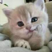 ヒメ日記 2025/11/19 13:55 投稿 まろん 池袋マリン別館