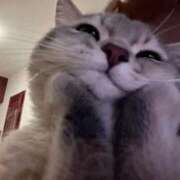 ヒメ日記 2025/11/24 10:05 投稿 まろん 池袋マリン別館