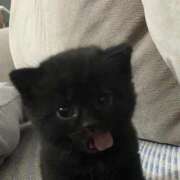 ヒメ日記 2025/11/25 14:25 投稿 まろん 池袋マリン別館