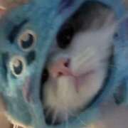 ヒメ日記 2025/12/08 12:45 投稿 まろん 池袋マリン別館