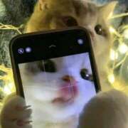 ヒメ日記 2025/12/11 14:15 投稿 まろん 池袋マリン別館