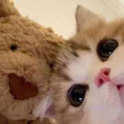 ヒメ日記 2025/12/15 11:25 投稿 まろん 池袋マリン別館