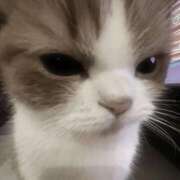 ヒメ日記 2025/12/17 15:05 投稿 まろん 池袋マリン別館