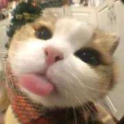 ヒメ日記 2025/12/23 08:16 投稿 まろん 池袋マリン別館