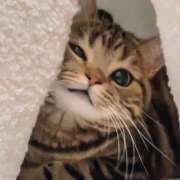 ヒメ日記 2025/12/24 15:05 投稿 まろん 池袋マリン別館