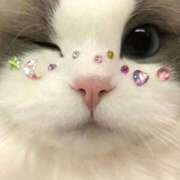 ヒメ日記 2025/12/29 19:17 投稿 まろん 池袋マリン別館